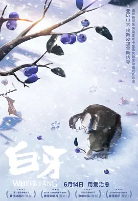 视频二区日韩